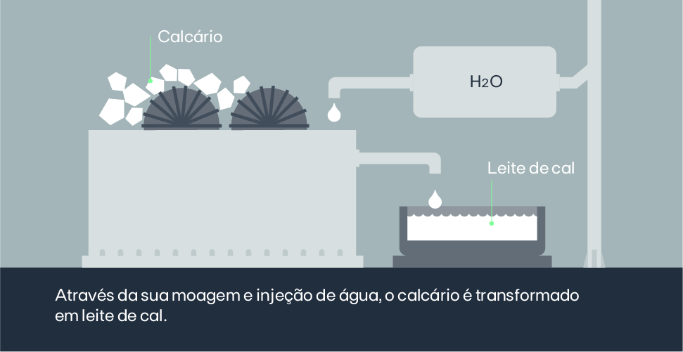 infografia 3 - pt 