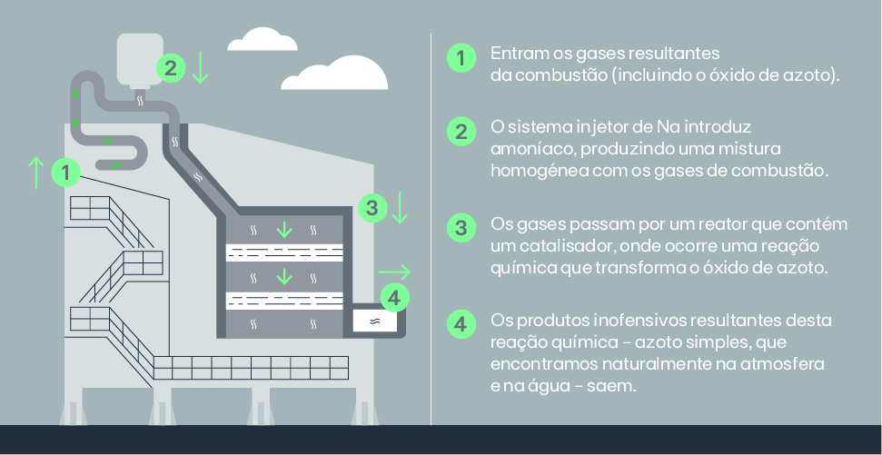  infografia 6 - pt